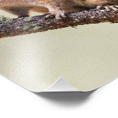 Cute en chubby chipmunk foto afdruk (Hoek)