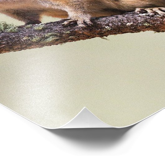 Cute en chubby chipmunk foto afdruk (Hoek)