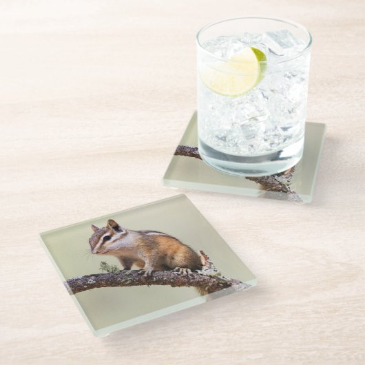 Cute en Chubby Chipmunk Glazen Onderzetter (Schuin)