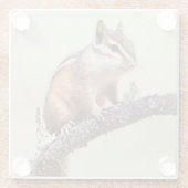 Cute en Chubby Chipmunk Glazen Onderzetter (Achterkant)