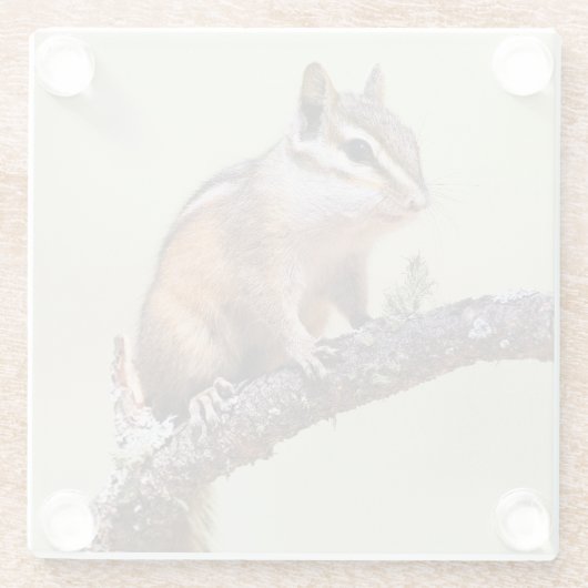 Cute en Chubby Chipmunk Glazen Onderzetter (Achterkant)