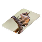 Cute en Chubby Chipmunk Magneet (Linkerzijde)