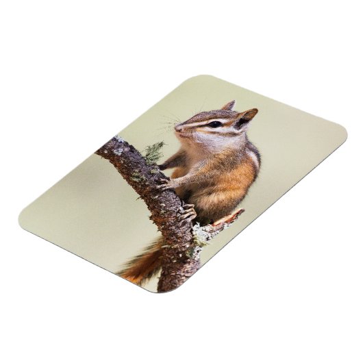 Cute en Chubby Chipmunk Magneet (Linkerzijde)