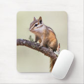 Cute en chubby chipmunk muismat (Met muis)