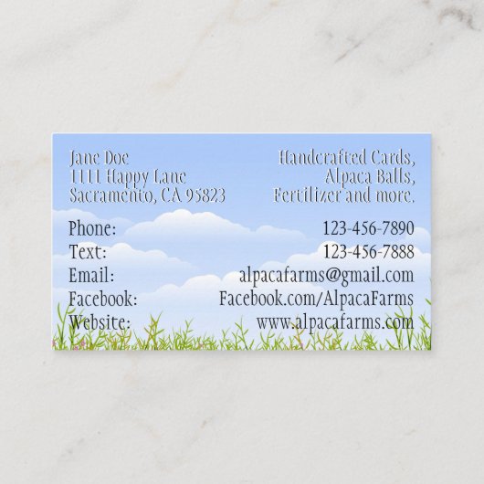 Cute en Colorful Llama/Alpaca Visitekaartje (Achterkant)