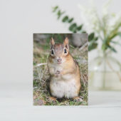 Cute en Friendly Chipmunk Briefkaart (Staand voorkant)