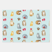 Cute en Funny Cats Cat Lover Inpakpapier Vel (Voorkant)