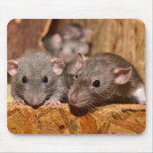 Cute en Ironic Muismat (Voorkant)