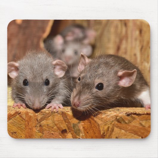 Cute en Ironic Muismat (Voorkant)