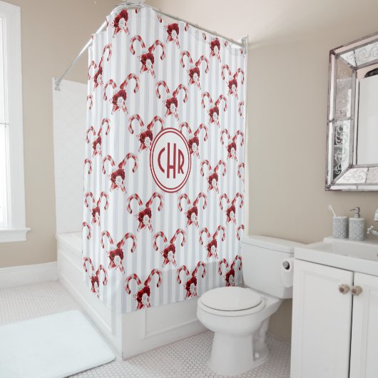 Cute en Whimsical Candy Cane Douchegordijn (In situ)