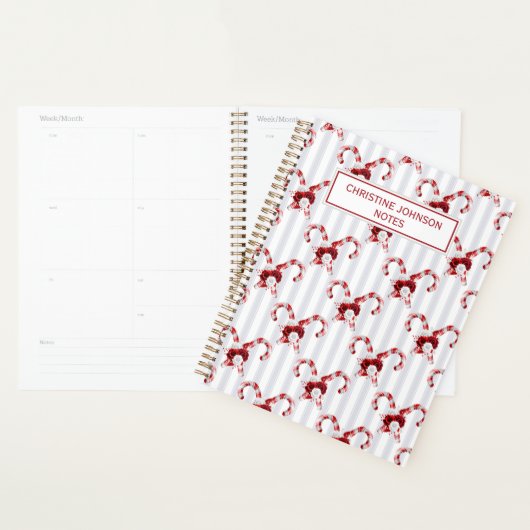 Cute en Whimsical Candy Cane Planner (Display)