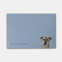 Cute English Bulldog Drawing