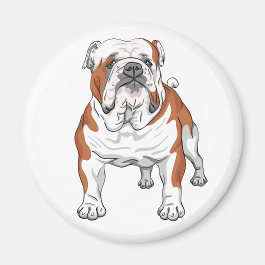 Cute English Bulldog Lover Bully Cartoon Puppy Dog Magneet (Voorkant)