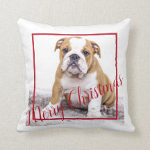 Cute English Bulldog Merry Kerstfeestay Foto