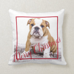 Cute English Bulldog Merry Kerstfeestay Foto Kussen