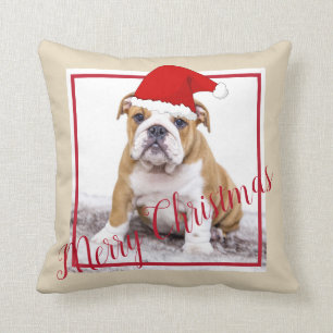 Cute English Bulldog Merry-kerstfoto Kussen