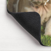 Cute English Bulldog Puppy Dogs Mousepad Muismat (Hoek)