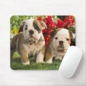 Cute English Bulldog Puppy Dogs Mousepad Muismat (Met muis)