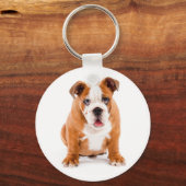 Cute English Bulldog Puppy Sleutelhanger (Voorkant)