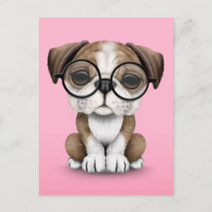 Cute English Bulldog Puppy Wearing Glasses Roze Briefkaart