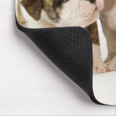 Cute English Bulldogs Puppy Dogs Palling Mousepad Muismat (Hoek)
