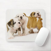 Cute English Bulldogs Puppy Dogs Palling Mousepad Muismat (Met muis)
