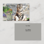 Cute English Cat Custom Visitekaartje (Voorkant / Achterkant)