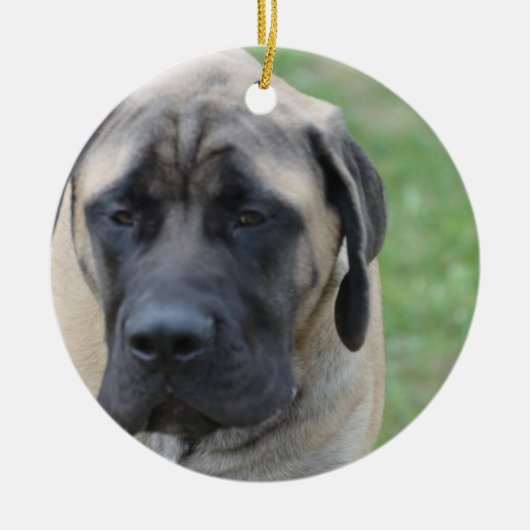Cute English Mastiff Keramisch Ornament (Voorkant)