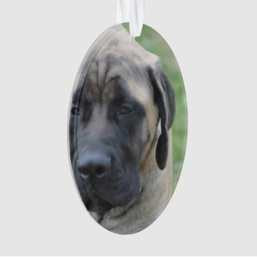 Cute English Mastiff Ornament (voorkant)