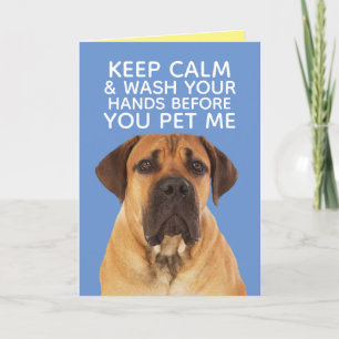 Cute English Mastiff Staying Calm Wash Hands Kaart