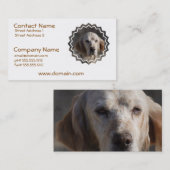 Cute English Setter Visitekaartje (Voorkant / Achterkant)