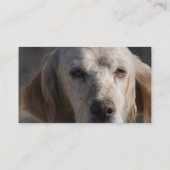 Cute English Setter Visitekaartje (Achterkant)