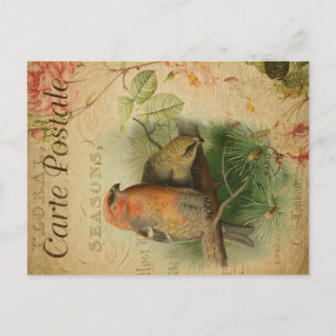 Cute  Ephemera Gosbeak Birds Floral French Briefkaart