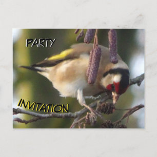 Cute-etende Goldfinch Party Invitation Briefkaart