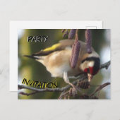 Cute-etende Goldfinch Party Invitation Briefkaart (Voorkant / Achterkant)