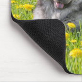 Cute Eurasier Dog in a Meadow Flowering Dandelions Muismat (Hoek)