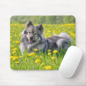 Cute Eurasier Dog in a Meadow Flowering Dandelions Muismat (Met muis)