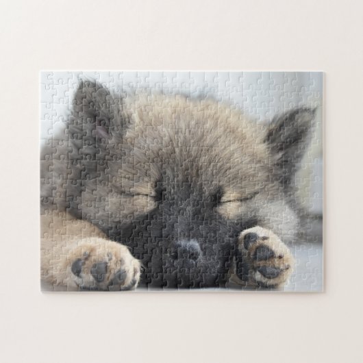 Cute Eurasier Puppy Legpuzzel (Horizontaal)