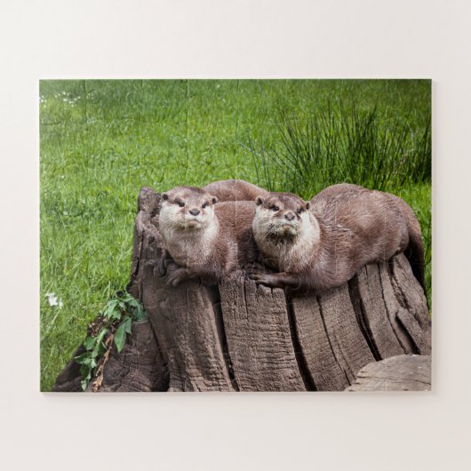 Cute Euraziatische Otters-dierfotografie Legpuzzel (Horizontaal)