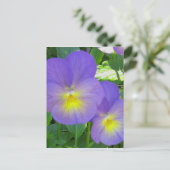 Cute Faced Pansy Briefkaart (Staand voorkant)