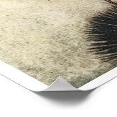 Cute  Faerie Poster (Hoek)