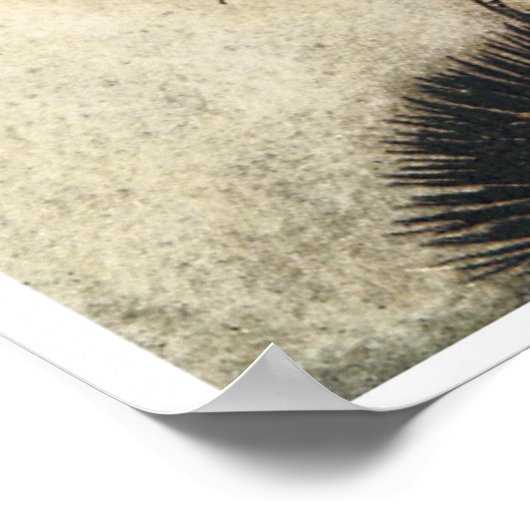 Cute Faerie Poster (Hoek)