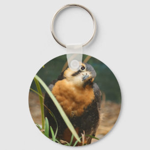 Cute falcon sleutelhanger