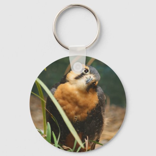 Cute falcon sleutelhanger (Voorkant)