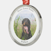 Cute Family Pet Metalen Ornament (Links)