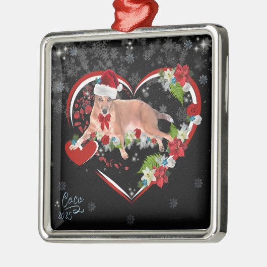 Cute Family Pet Name and Date Christmas Metalen Ornament (Links)