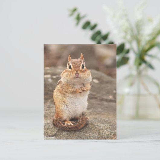 Cute Fat & Fluffy Chipmunk Briefkaart (Staand voorkant)