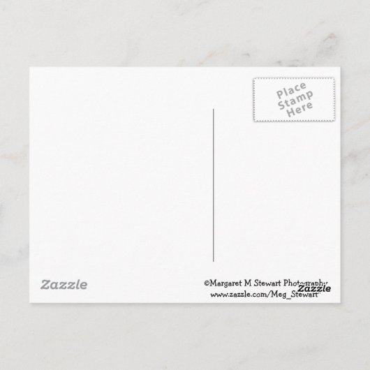 Cute Fat & Fluffy Chipmunk Briefkaart (Achterkant)