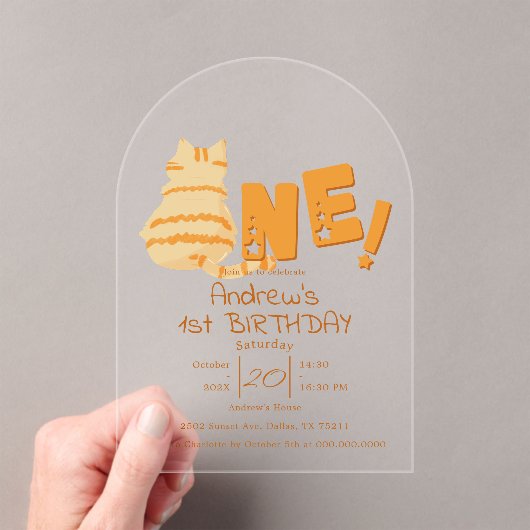 Cute Fat Orange Cat 1st Birthday Acryl Uitnodigingen (Insitu (Draagbaar))