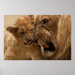 Cute Father en Son Lion Poster